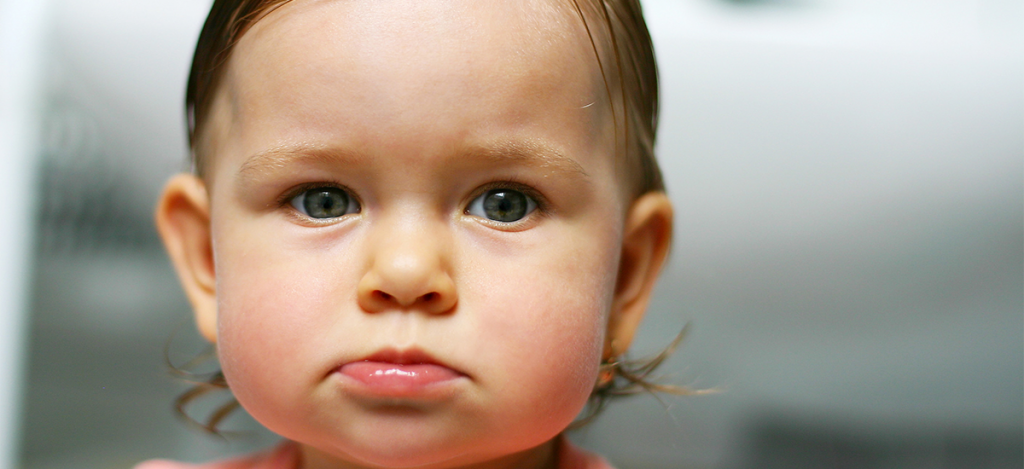 Taming Your Toddler
