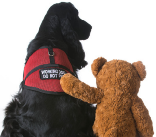 Why Do People Think Animals Make Good Therapists?